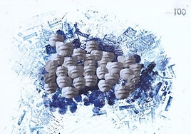 Collage especial para 'Ababol'.