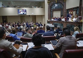 El Pleno de la Asamblea Regional, este jueves.