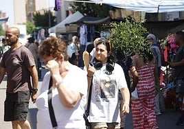 Calor en el mercado del Cénit de Cartagena, en imágenes
