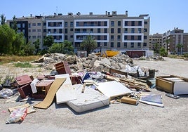 Vertedero ilegal que han denunciado los vecinos en Santiago y Zaraíche.