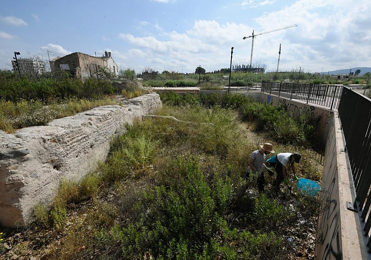 En primer término, a la izquierda, restos de la Torre del Moro, rodeados de maleza, que limpian voluntarios de Huerta Viva.