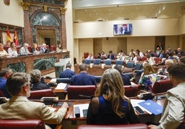 El Pleno de la Asamblea Regional, este martes.