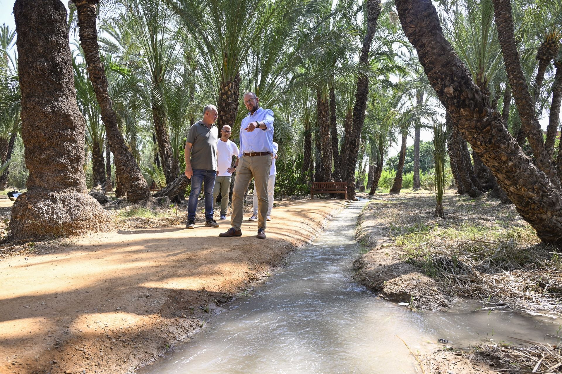 Riego tradicional en el palmeral de Zaraíche, en imágenes