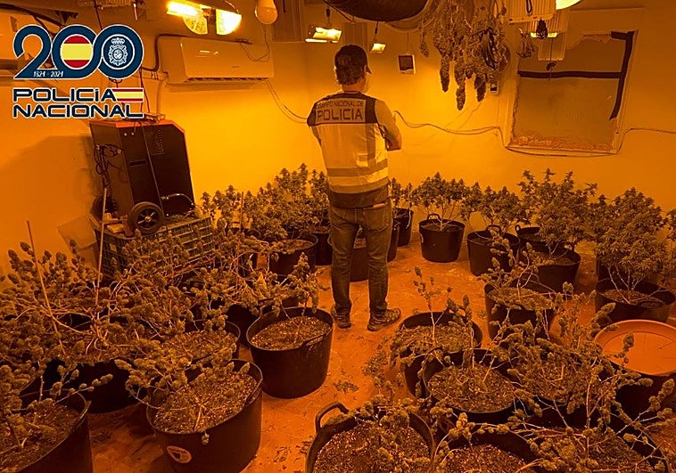 Registro policial en inmuebles del barrio cartagenero de Los Mateos.