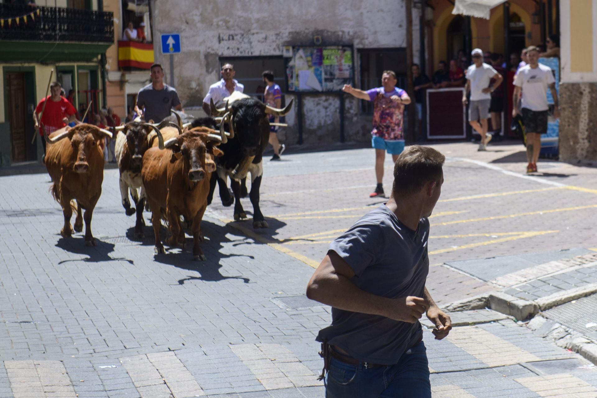 El encierro de Moratalla de este viernes, en imágenes