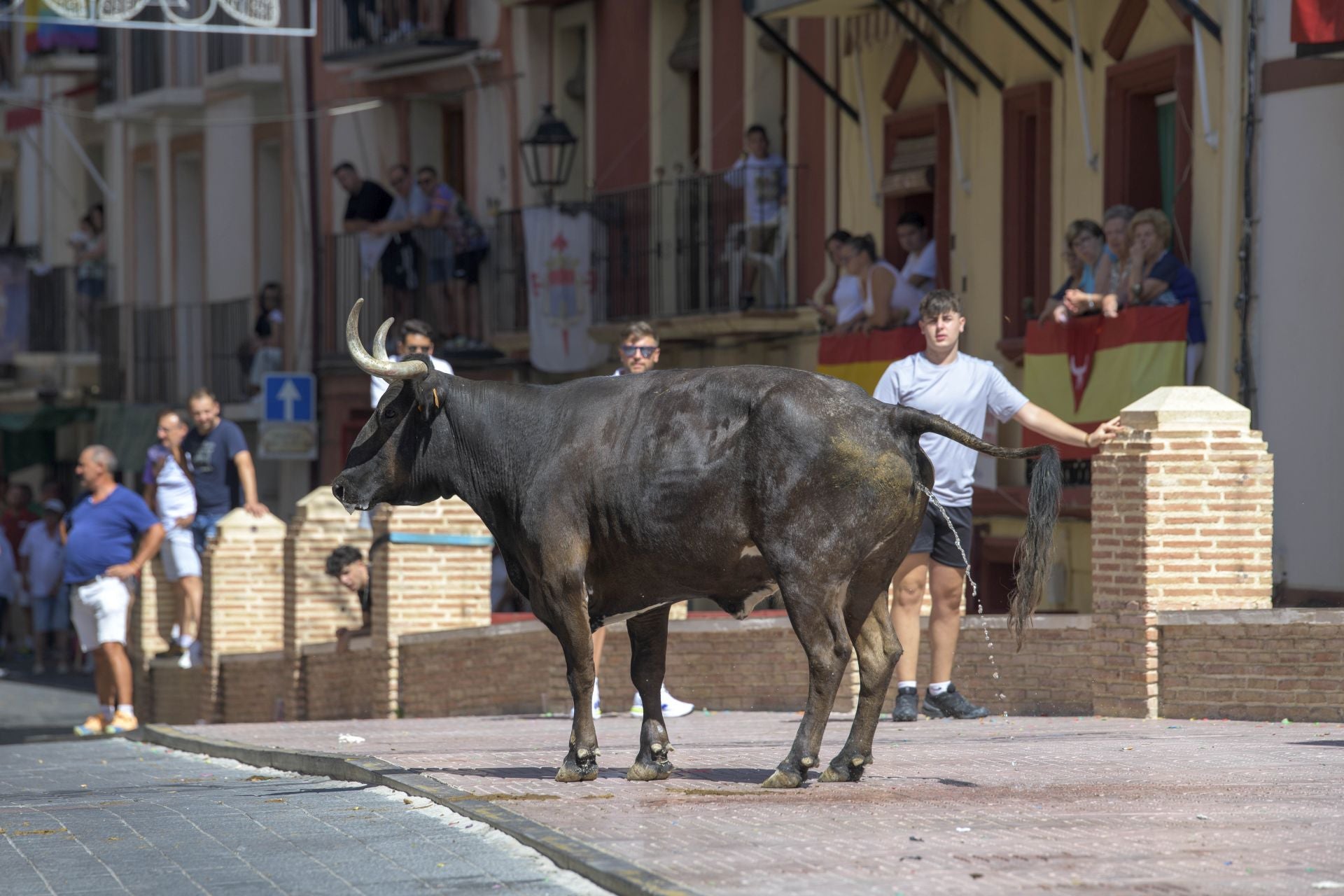 El encierro de Moratalla de este viernes, en imágenes