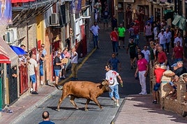 Corredores en el encierro de Moratalla observan a una de las reses.