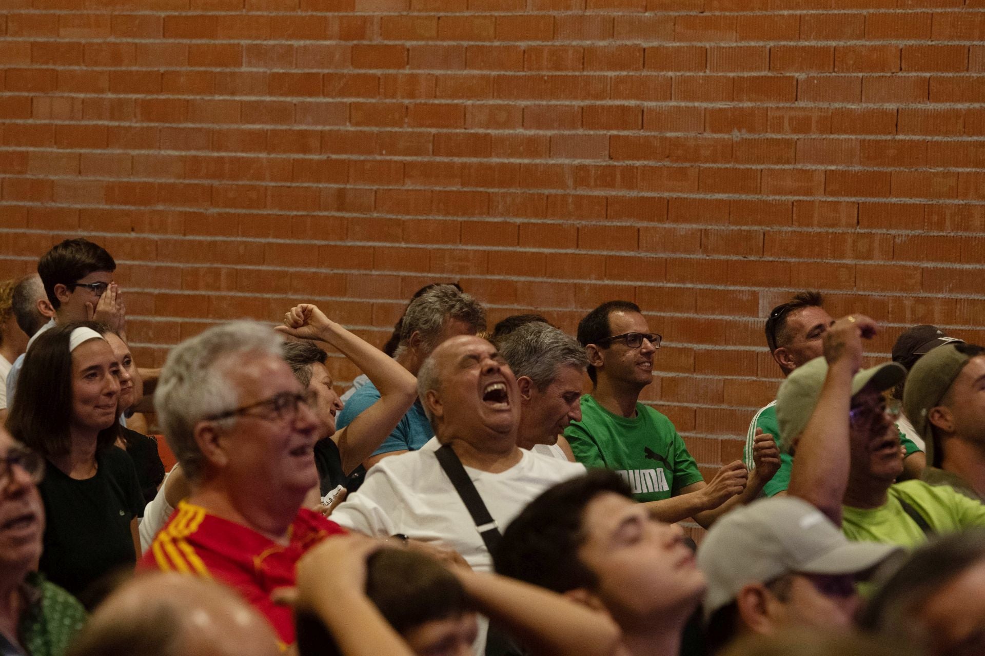 Las imágenes de cómo se vivió la final de Wimbledon en El Palmar