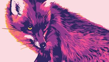 &#039;LA ZORRA&#039;