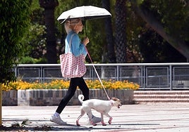 Una mujer pasea su perro, protegido por unas botas contra el calor del asfalto, en Murcia.