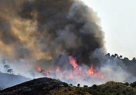 Un incendio forestal en Jumilla, en una imagen de archivo.
