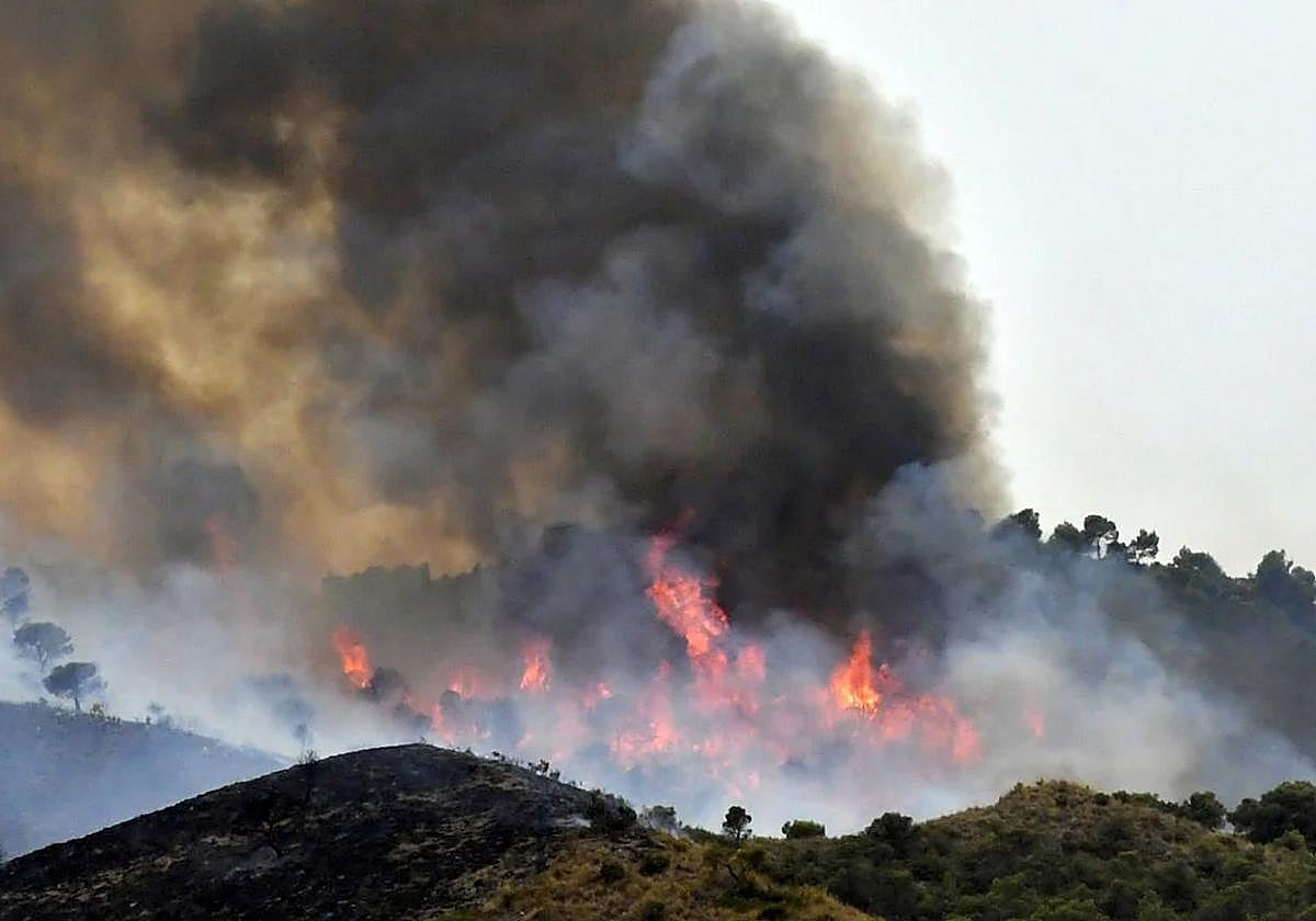 Un incendio forestal en Jumilla, en una imagen de archivo.