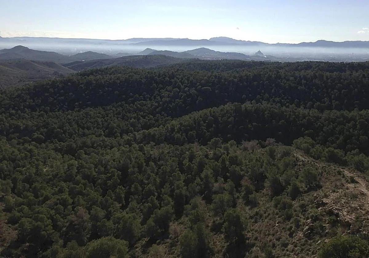 Panorámica del 'Coto Cuadros', en Santomera.