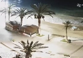 Un bañista coloca su sombrilla en una playa de Torrevieja de madrugada: «Todavía es noche cerrada».