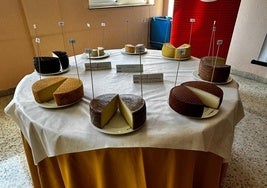 Muestra en la cata de quesos para decidir los mejores en el galardón 'Alimentos de España 2025'.