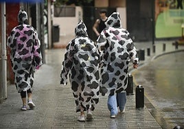 Tres peatones caminan por el centro de Murcia cubiertos con chubasqueros.