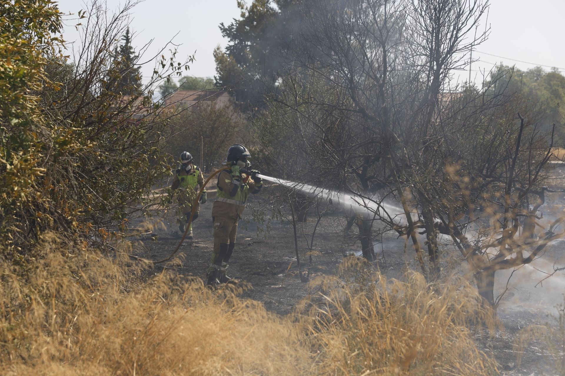 Las imágenes el incendio en un solar de Cabezo de Torres