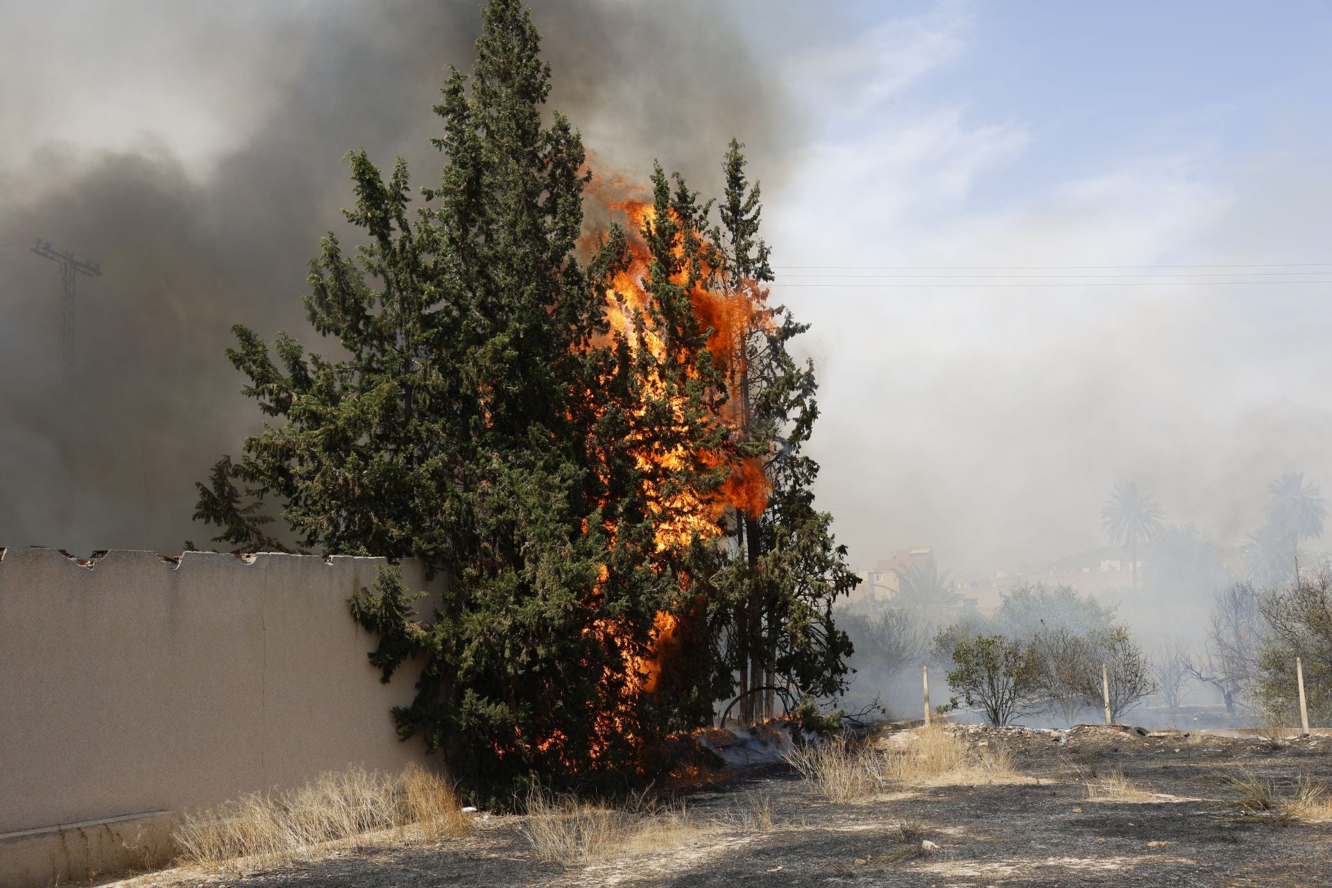 Las imágenes el incendio en un solar de Cabezo de Torres
