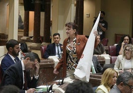 María Marín coloca un capirote del Ku Klux Klan en el escaño de Antelo.