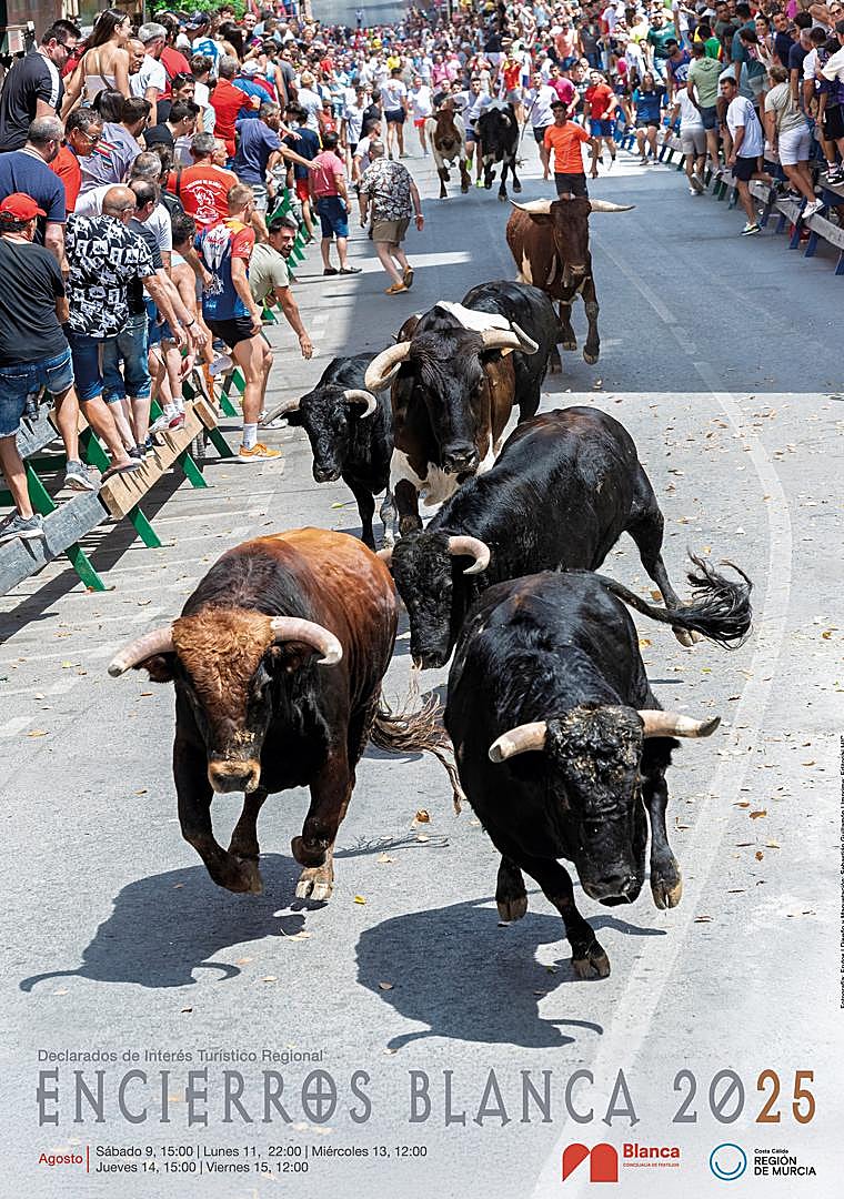 Imagen - Cartel de los encierros de Blanca, con una imagen de Frutos Molina.