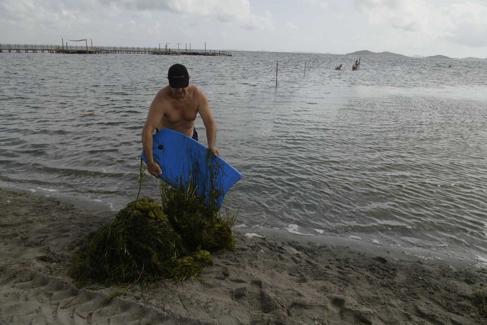 Los vecinos de Los Urrutias y Punta Brava retiran ova de las playas