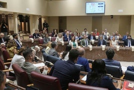 Pleno de la Asamblea Regional de este miércoles.