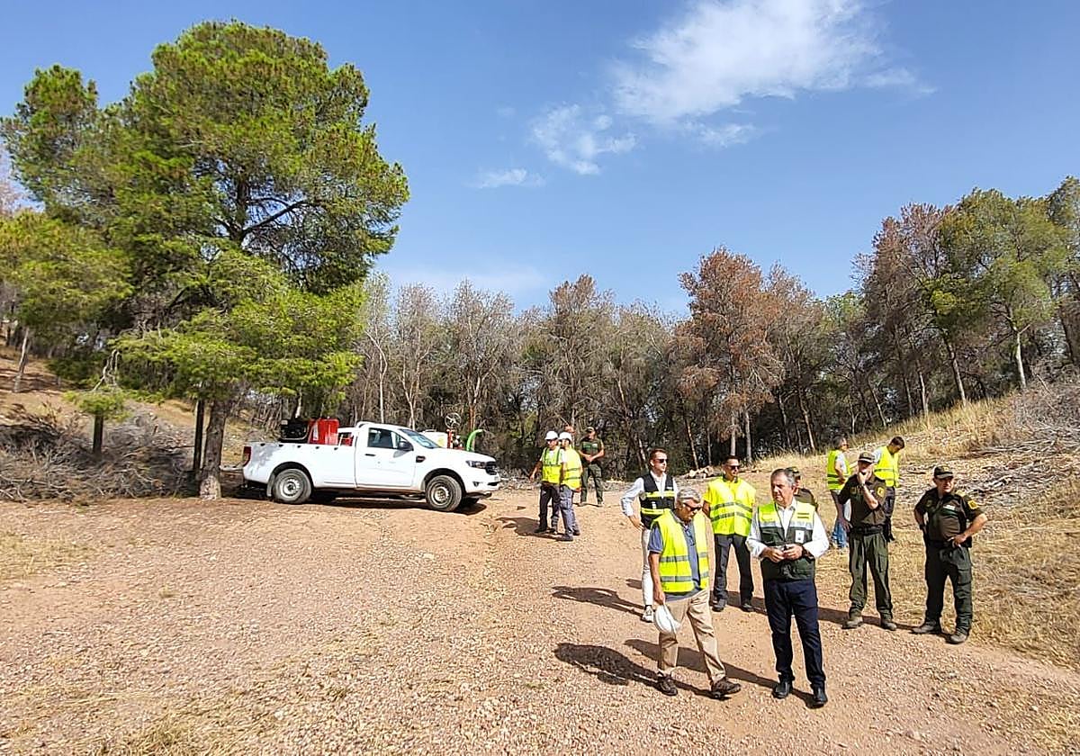 El Gobierno regional extiende a 3.000 hectáreas las medidas de restauración forestal para frenar los efectos de la sequía y prevenir incendios