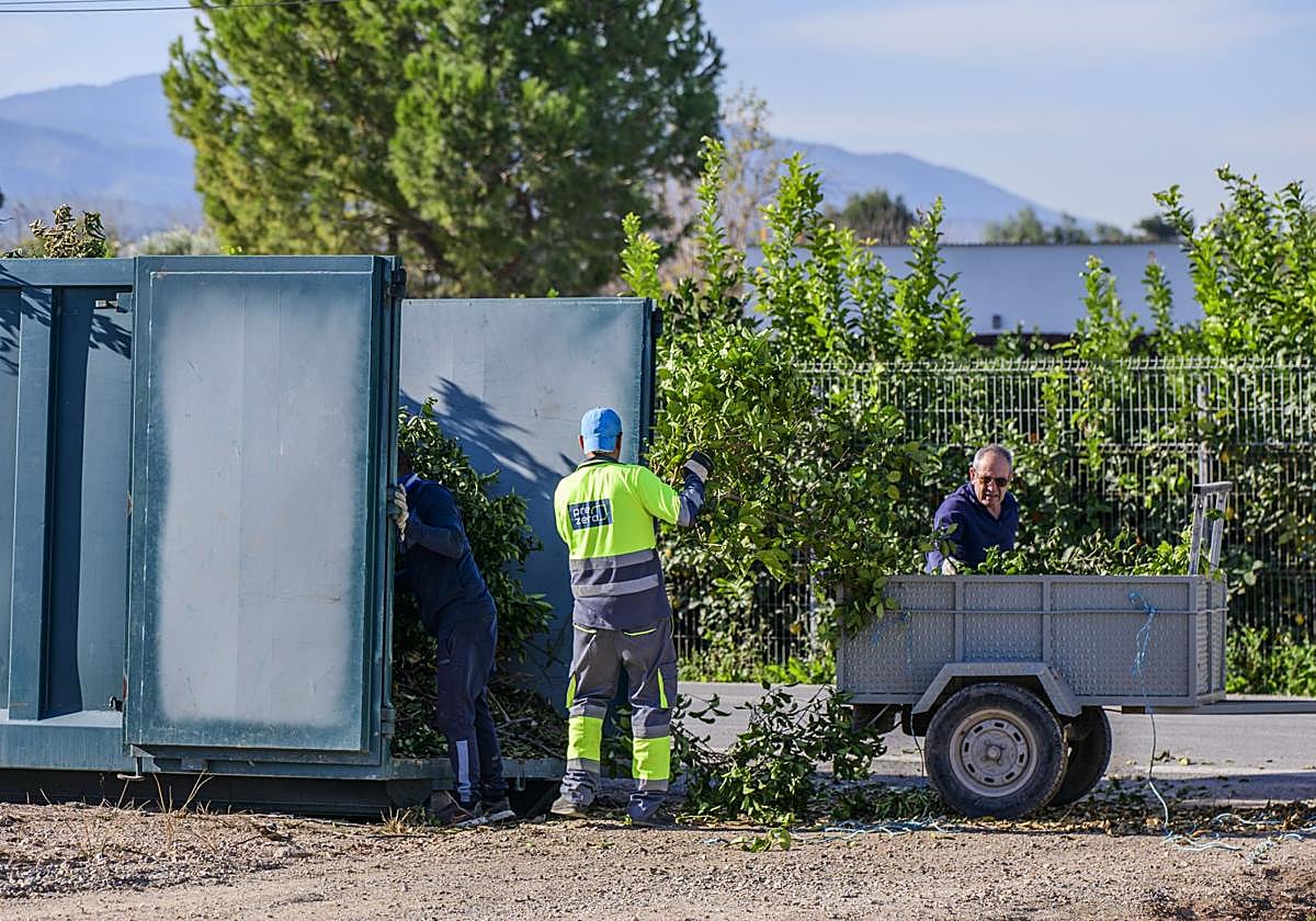 Recogida municipal de podas, en Garres y Lages, en una imagen de archivo.
