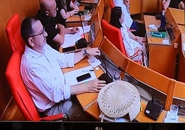 Momento en el que el concejal del PSOE José Luis Ruiz toca el micrófono durante el Pleno.