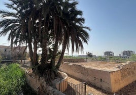 La Torre del Batán de Murcia tras los trabajos de limpieza.