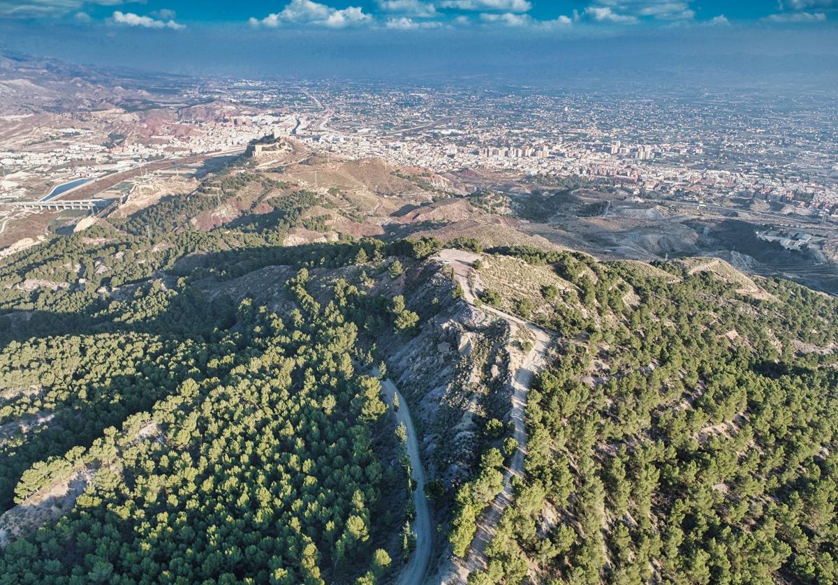 El Gobierno regional destina más de 1,9 millones de euros a un proyecto integral de restauración de ecosistemas en Lorca y Murcia