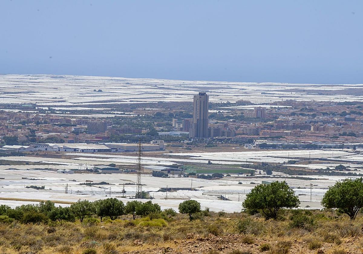 Panorámica de El Ejido, entre los invernaderos.