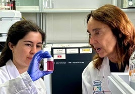 Cristina García-Viguera (drcha.) examina una muestra de la nueva kombucha obtenida en el laboratorio del CEBAS-CSIC.
