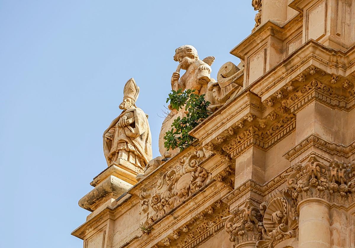 Estado actual de la vegetación en la antigua colegiata de San Patricio, en Lorca.