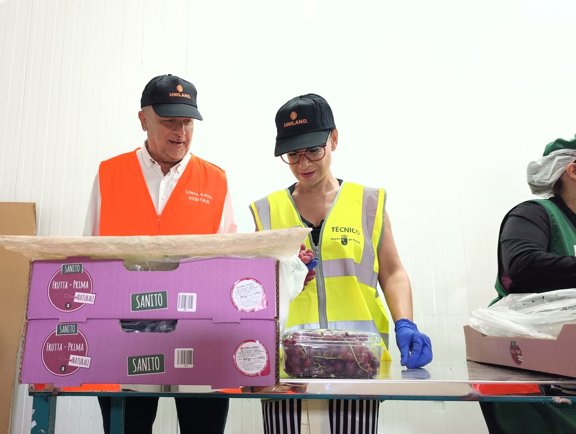 El secretario general de la Consejería de Agua, Agricultura, Ganadería y Pesca, Francisco González Zapater, junto a los técnicos que analizan las partidas de uva de mesa para exportación.