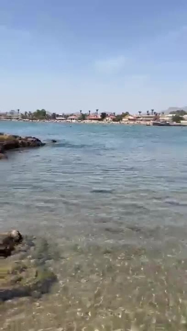 Avistan un tiburón en una playa de Mazarrón