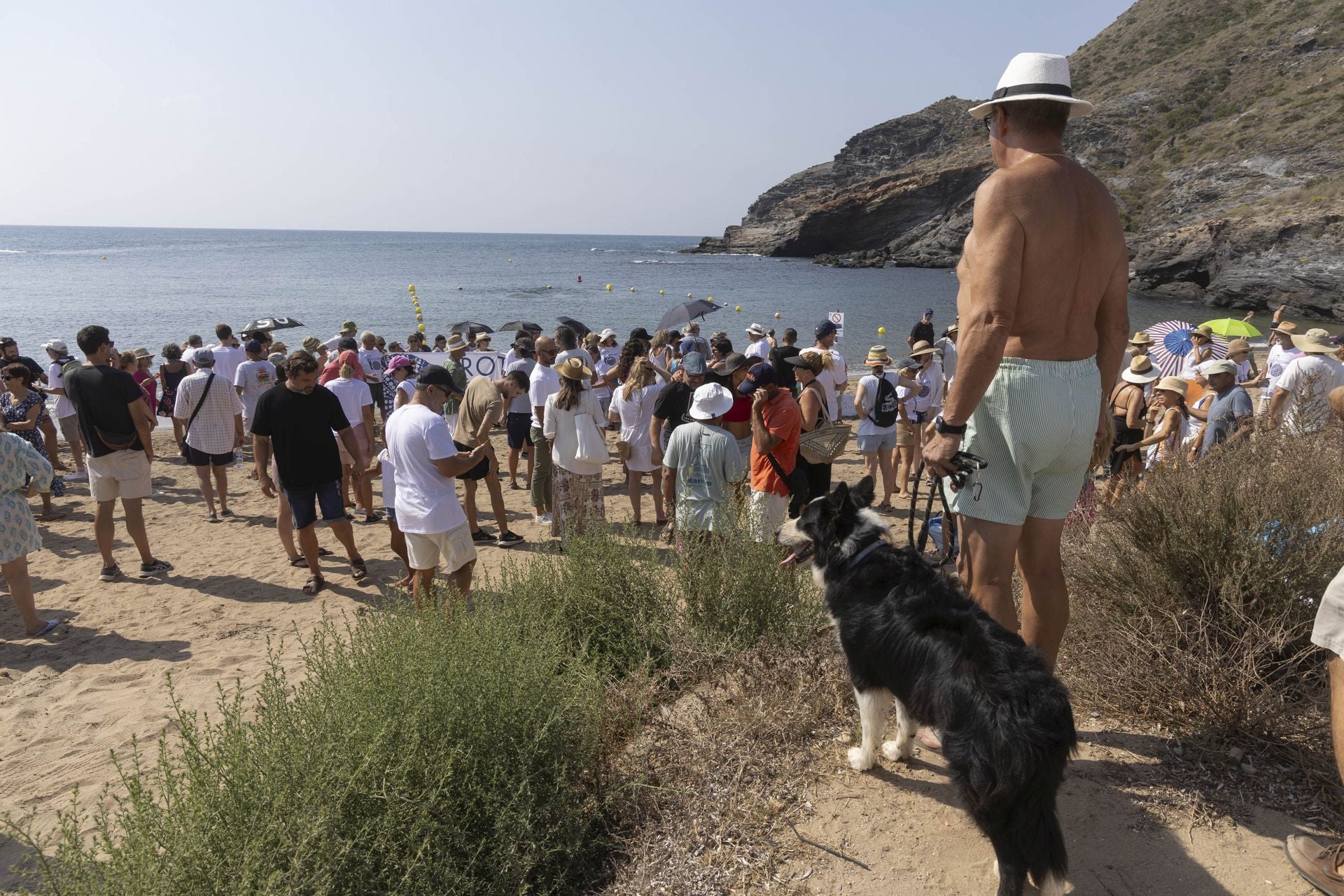 En imágenes, el Abrazo al agua de Cala Reona