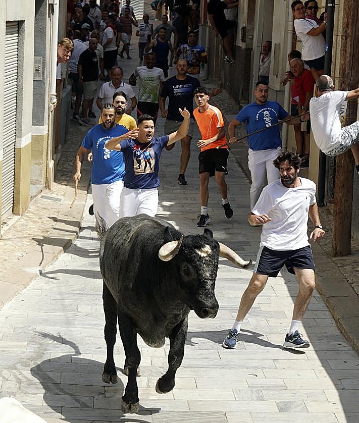 Imagen secundaria 2 - Primer encierro rápido y emocionante en Blanca este sábado