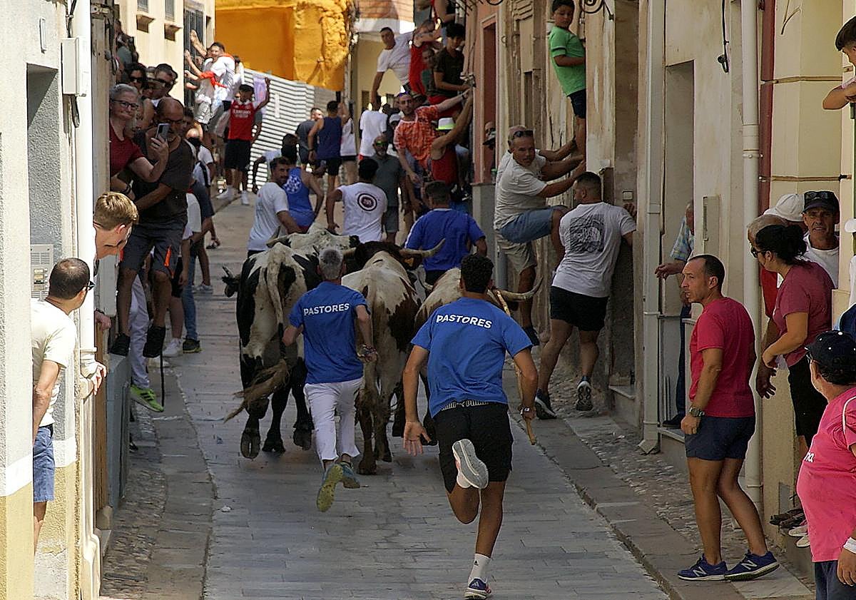Imagen principal - Primer encierro rápido y emocionante en Blanca este sábado