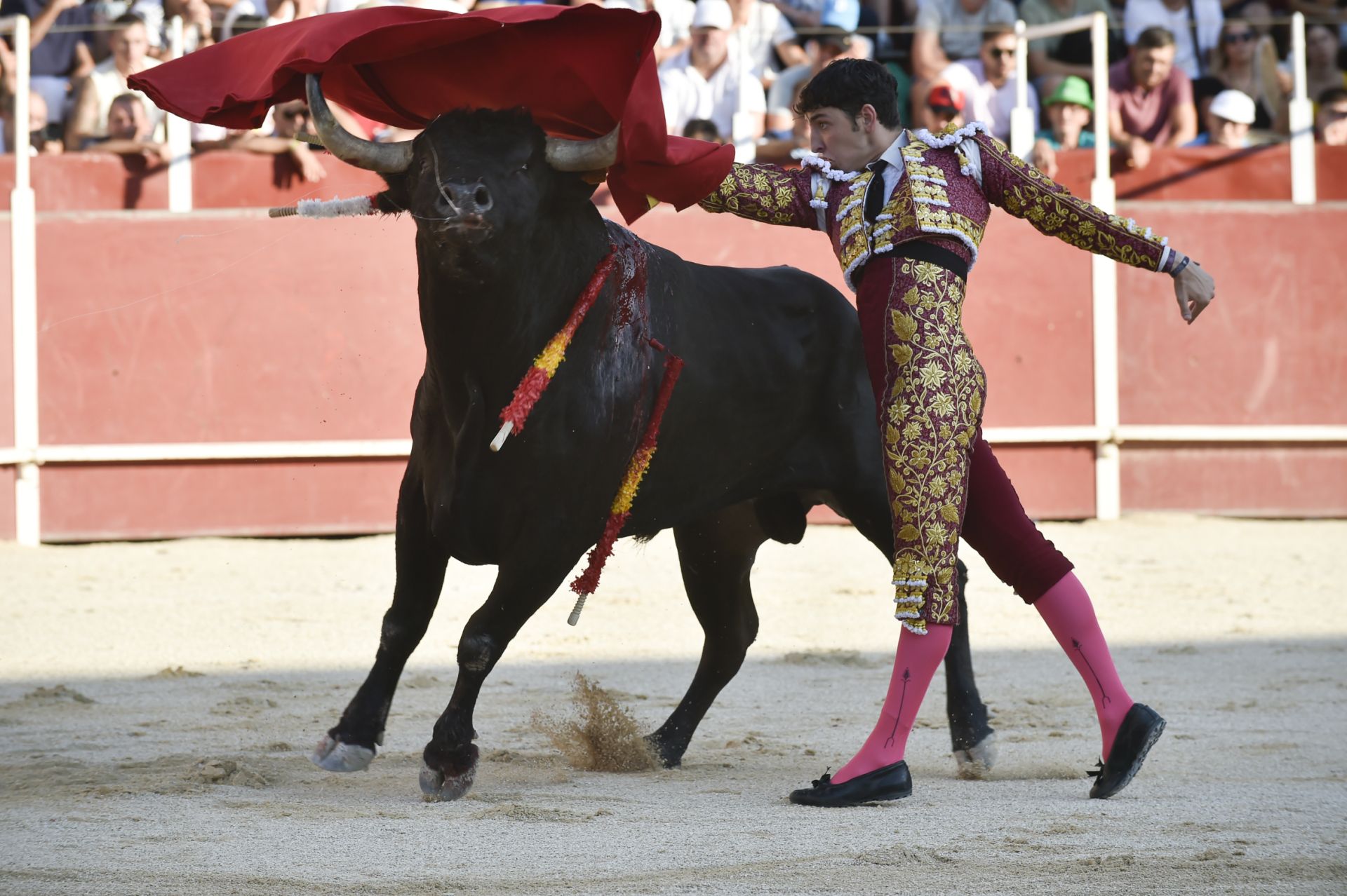 La novillada del domingo de la Feria de Blanca, en imágenes