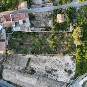 Vista aérea del huerto de Torre Lucas, de forma rectangular y con un canal central, donde estuvo el jardín monumental.