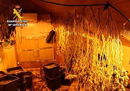 Imagen del secadero de marihuana.