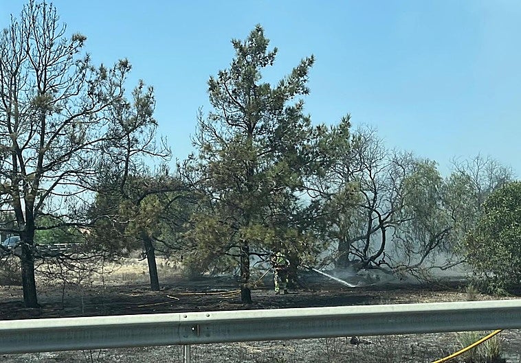 Bomberos trabajan en uno de los focos del incendio.