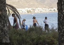 Un grupo de voluntarios realiza una limpieza en el palmeral de La Azohía.