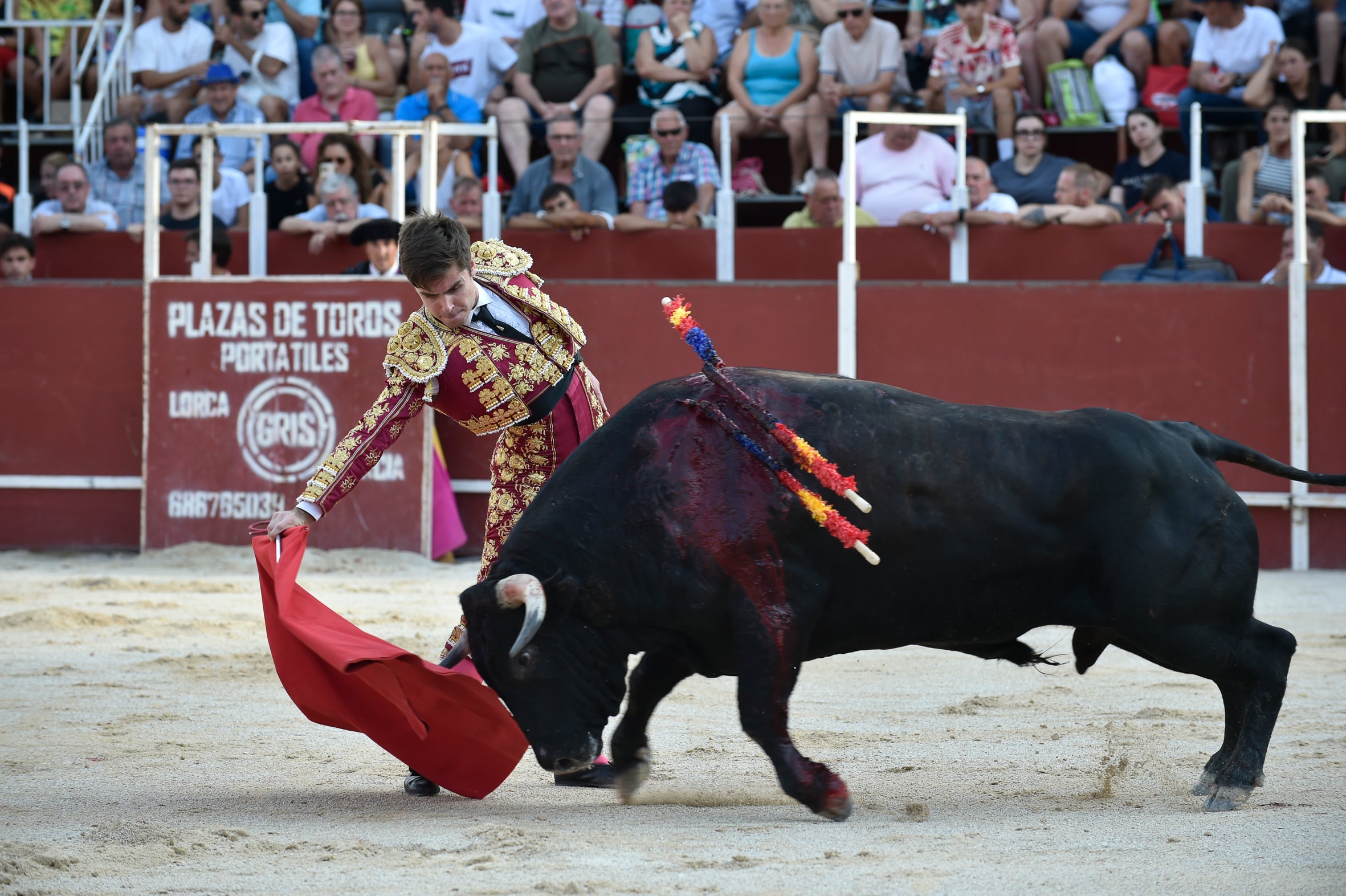 La segunda novillada de la Feria de Blanca, en imágenes