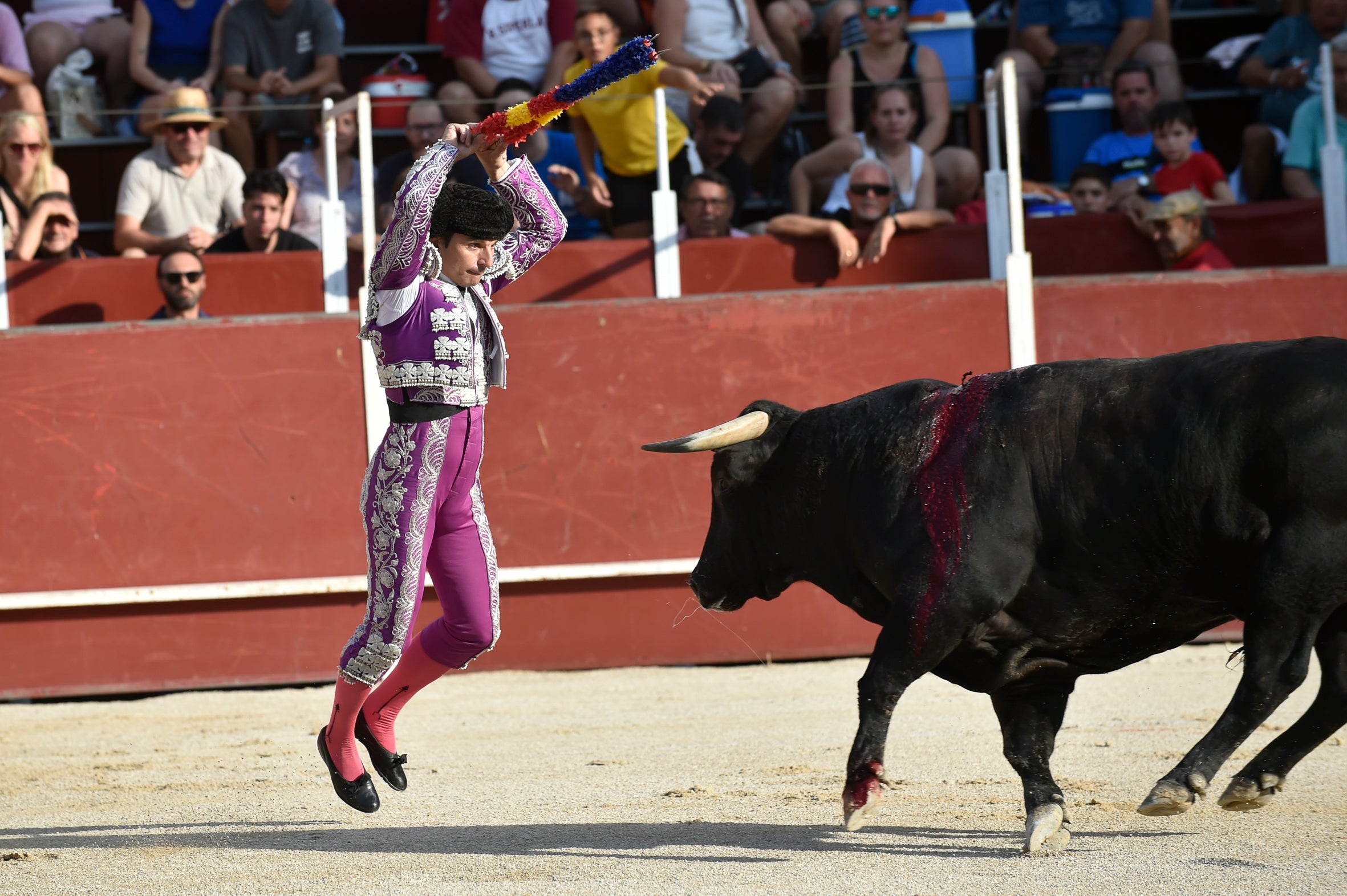 La segunda novillada de la Feria de Blanca, en imágenes
