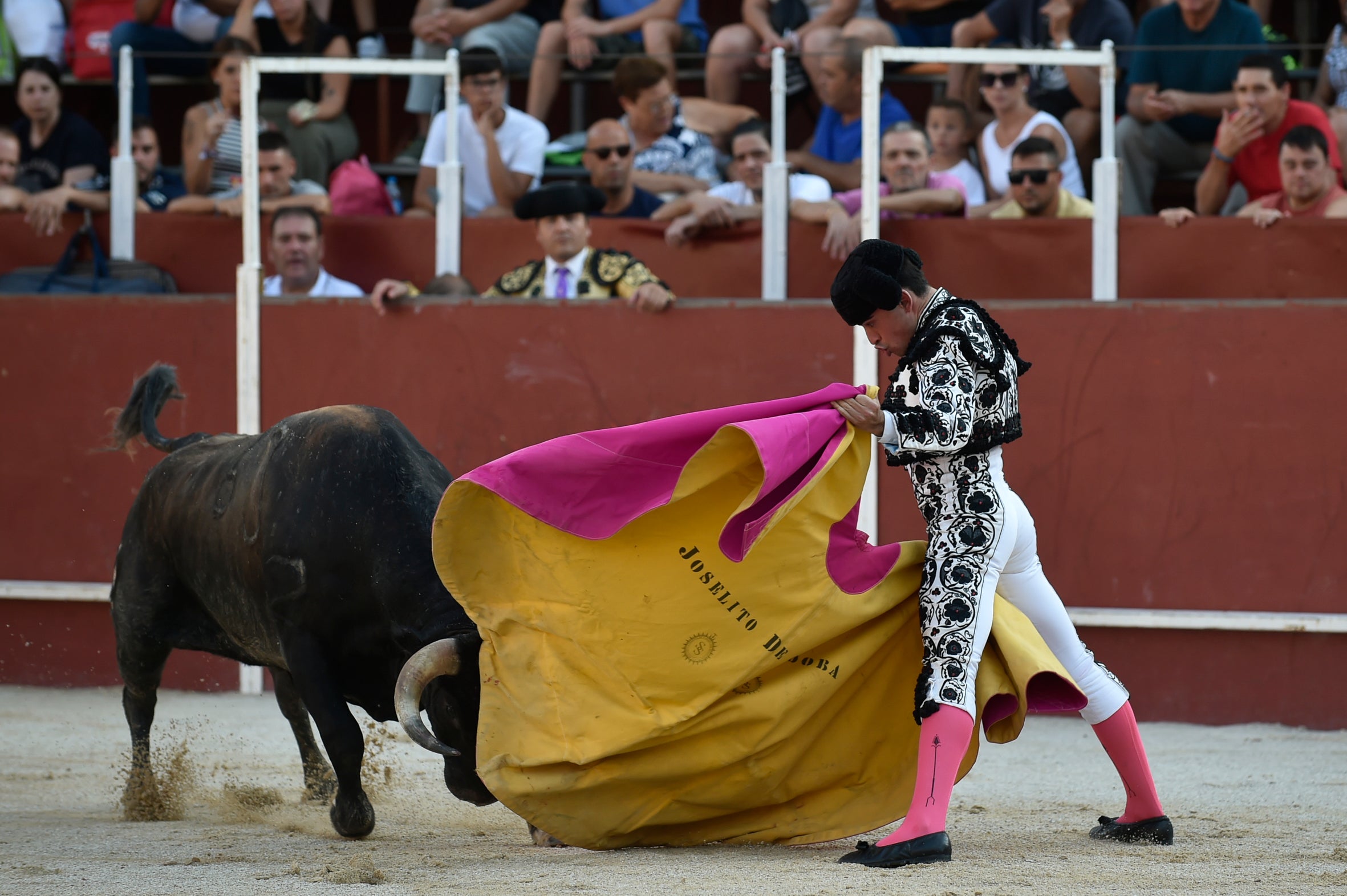 La segunda novillada de la Feria de Blanca, en imágenes