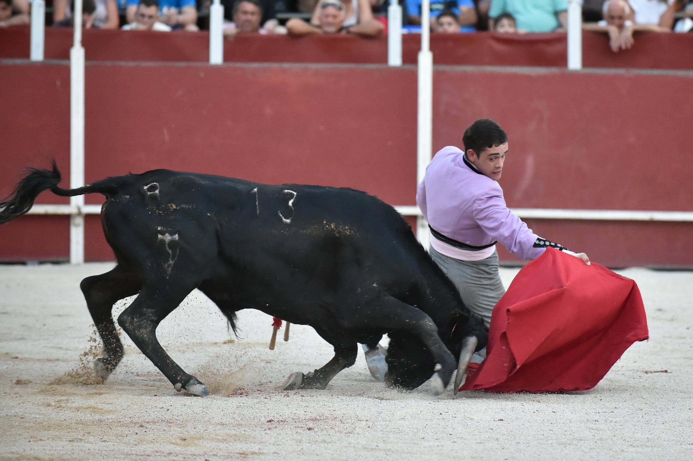 La segunda novillada de la Feria de Blanca, en imágenes