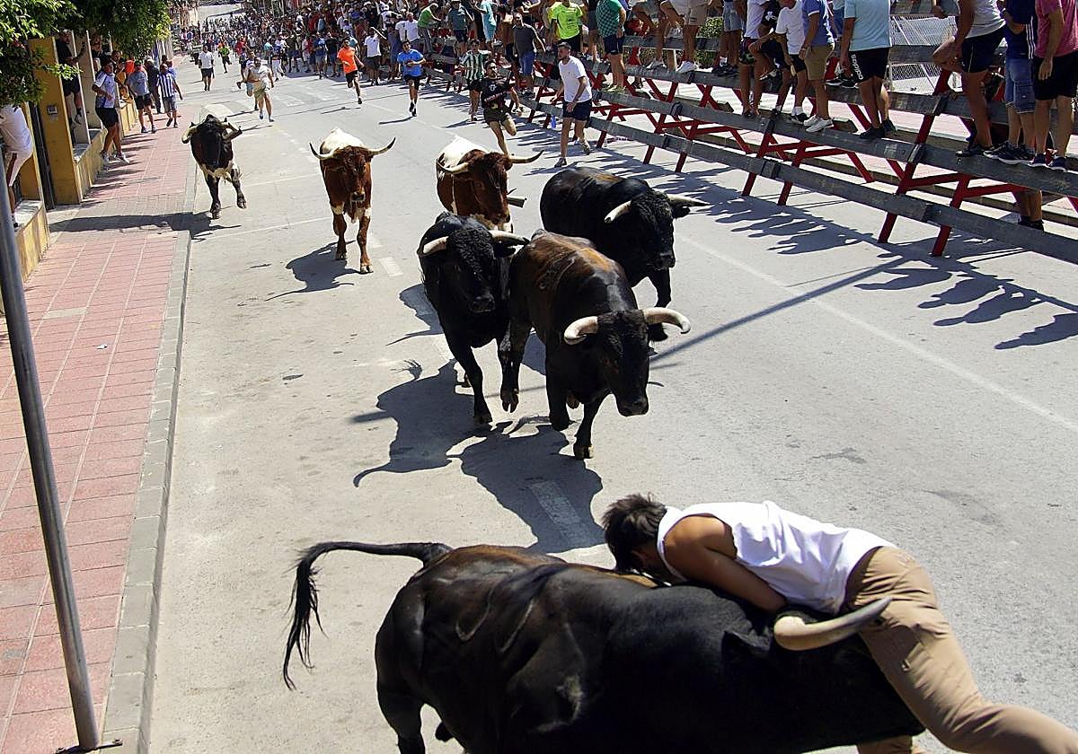 Uno de los participantes en el encierro, alcanzado por un novillo.
