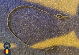 El cordón de oro robado.